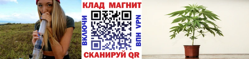 НБОМе Прокопьевск