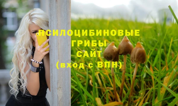 трава Михайловка