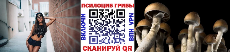 хочу   Прокопьевск  маркетплейс формула  Галлюциногенные грибы MAGIC MUSHROOMS 